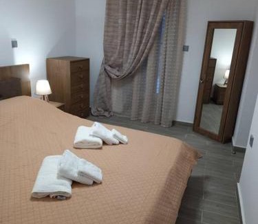 Andros Town Apartment | Dipotamata House SynetI