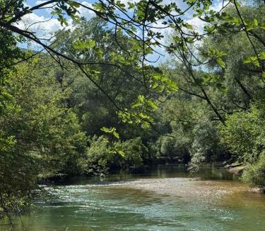 Danilovgrad Municipality Other | Divlji Mir