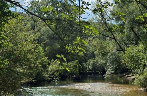 Danilovgrad Municipality Other | Divlji Mir