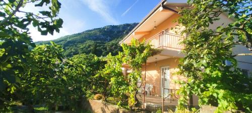 Susanj Apartment | Djonovic Apartments