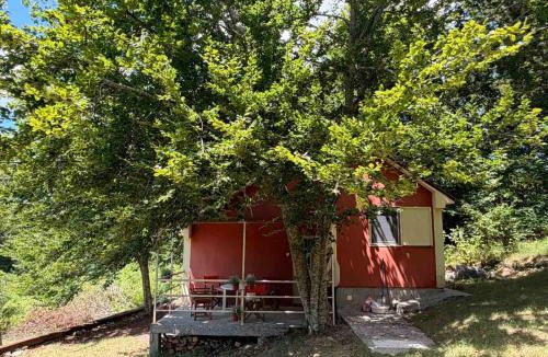 Danilovgrad Municipality Resort | Domaćinstvo Pine Woods