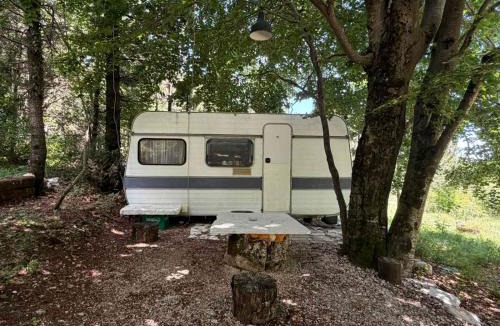 Danilovgrad Municipality Resort | Domaćinstvo Pine Woods