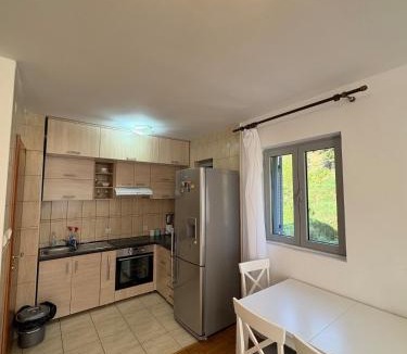 Dubovica Apartment | East Side View