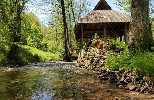 Ninkovici House | Eco Camp Dzogaska Vrela