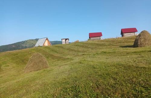 Plav Apartment | Eco katun Kofiljača