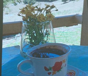 Kolasin Municipality Bed & Breakfast | Eko katun Dragana Goles