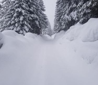 Strellc i Epërm Cabin | Eko Katun Hako