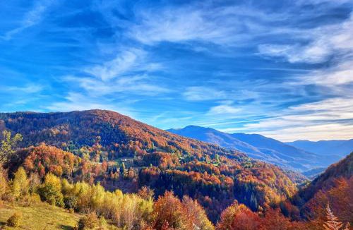 Montenegro Other | Eko katun Staro katunište