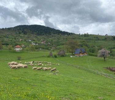 Kaludra Ski Chalet | Ethno house Dušanovi stupovi