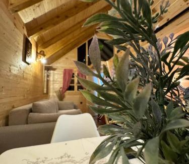 Montenegro House | Etno house