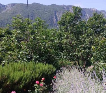 Limljani House | Etno House Mira