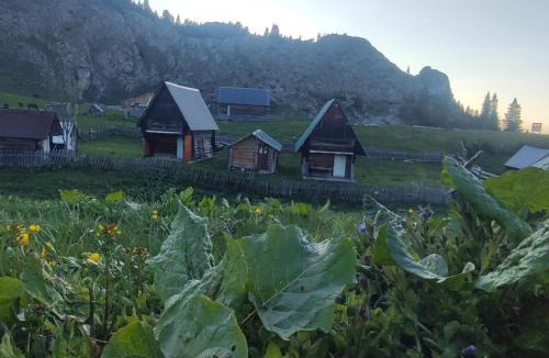 Kaludra Apartment | Etno katun Mokra 1