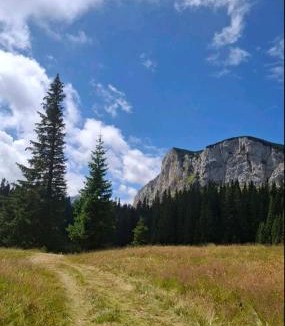 Zabljak Ski Chalet | Etno Koliba Nikoleta