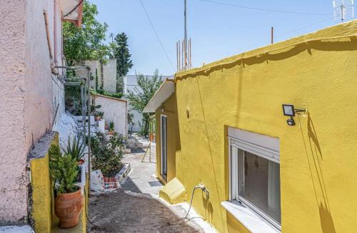 Zia House | Euphoria Village House