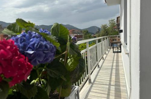 Thasos Town Apartment | EvA OMMM