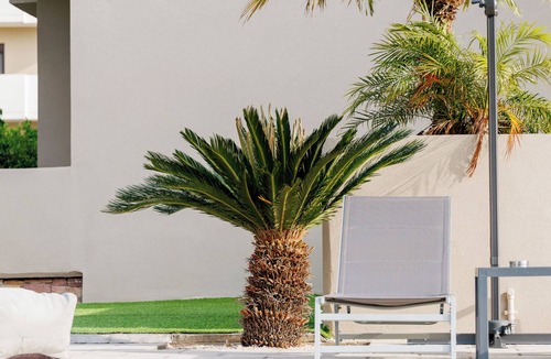 Ixia Villa | Exquisite Villa with private pool, garden, and free parking.