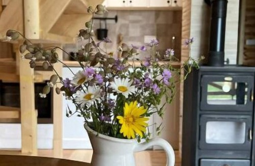 Zabljak Cottage | Family House Aurora Žabljak