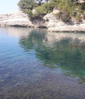 Rana Apartment | Family House Milic in Ulcinj