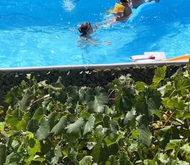 Bijela Apartment | Family House with pool & sea view