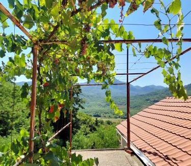 Virpazar Apartment | Feel the village