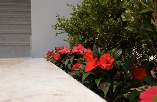 Bregvija Apartment | Flo Apartments