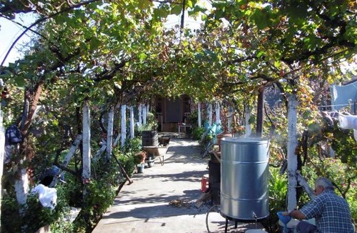 Shkoder Bed & Breakfast | Florians Guesthouse