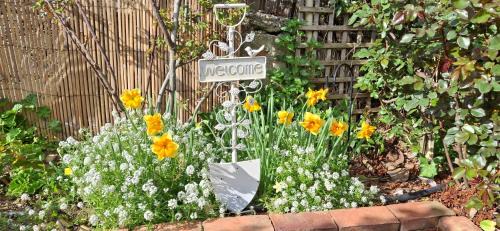 Pitrofos House | Flower house