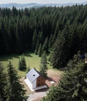 Zabljak Apartment | Forest Fox