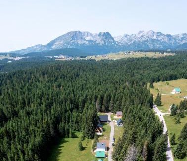 Zabljak Apartment | Forest Fox