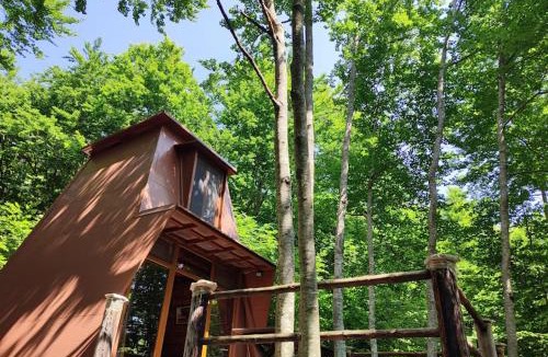 Cetinje Apartment | Forest House Paradise