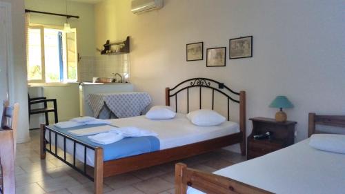 Lygia House | Fraxa
