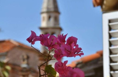 Old Town Hostel | Freedom Hostel Budva