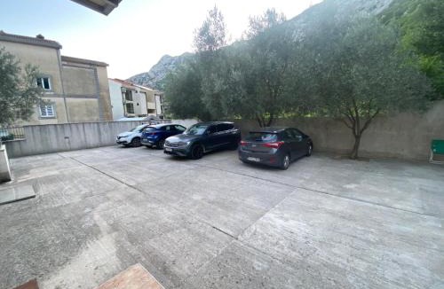 Risan Apartment | Friends