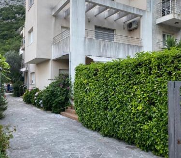 Risan Apartment | Friends