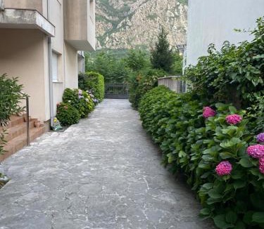 Risan Apartment | Friends
