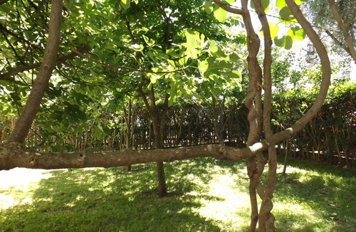 Lazi House | GARDEN APARTMENT with 3 bedrooms