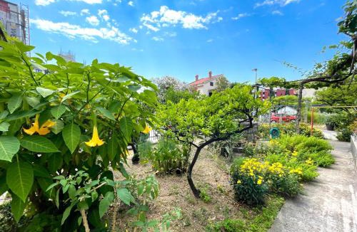 Centar Apartment | Garden House Budva