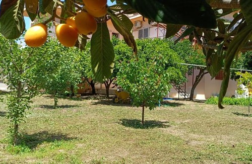 Amarinthos House | Garden house