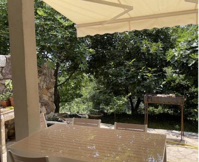 Lapcici Apartment | Garden House