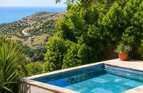 Andros Apartment | Garden Residence Andros with Sea View & Pool