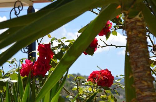 Anaxos Apartment | Garden View Apartments