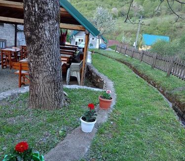 Montenegro Apartment | Gazdinstvo Novaković