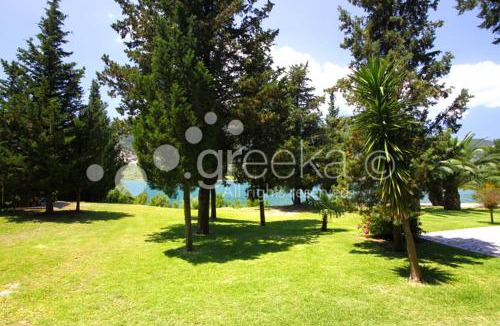 Yenion Hotel | Geni Garden Apartments