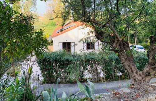 Messinia House | Gialova garden bungalow
