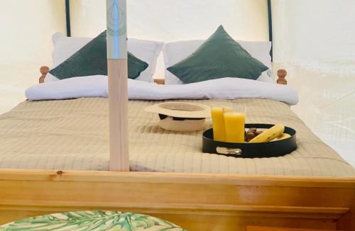 Andrijevica Other | Glamping Zvjezdana dolina