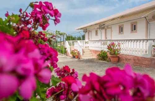 Drosia Apartment | Golden sand Paradise II