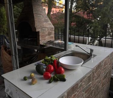 Susanj Apartment | Green house