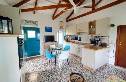 Askos House | Green Olive House