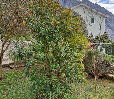 Orahovac Apartment | Green Village Panorama Bay