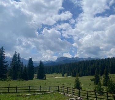 Zabljak House | Guest House Dzajovic